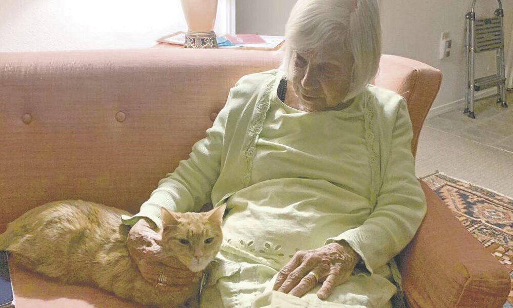 Un nuovo inizio per combattere la solitudine: l’amicizia tra un gatto e una donna in una casa di riposo