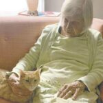 Un nuovo inizio per combattere la solitudine: l’amicizia tra un gatto e una donna in una casa di riposo