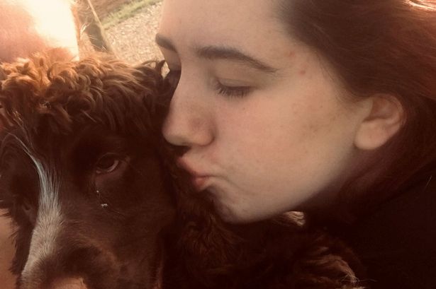 Adottato da una ragazza autistica, un cane inizia una nuova vita