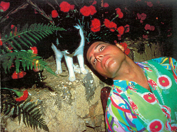 Freddie Mercury e il suo profondo amore per i gatti