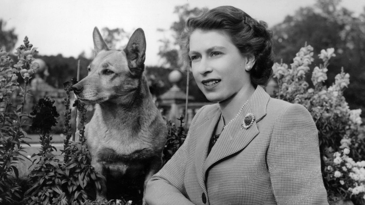 Amicizie storiche: donne famose… e i loro pet!