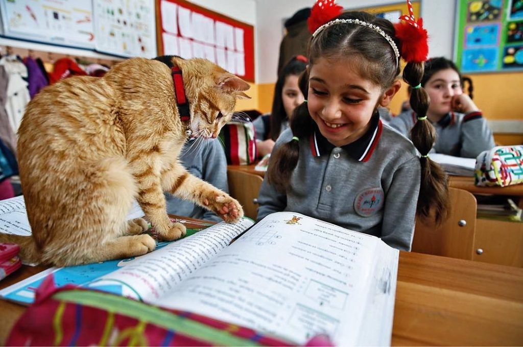 In Turchia Tombi gioca tra i banchi di scuola