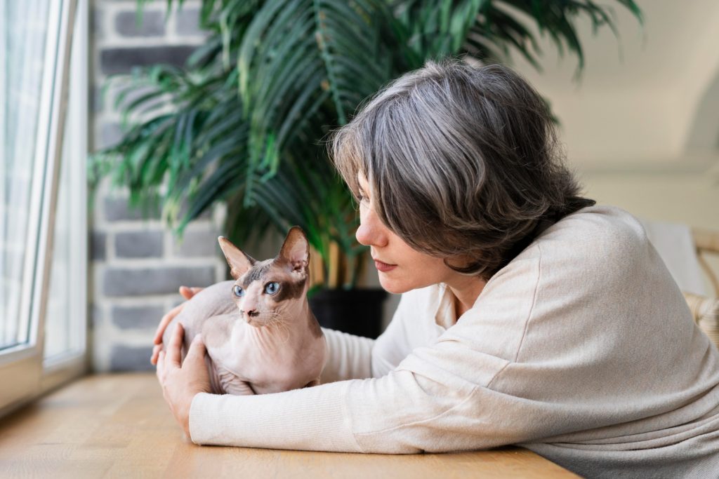 Gatto e cat sitter